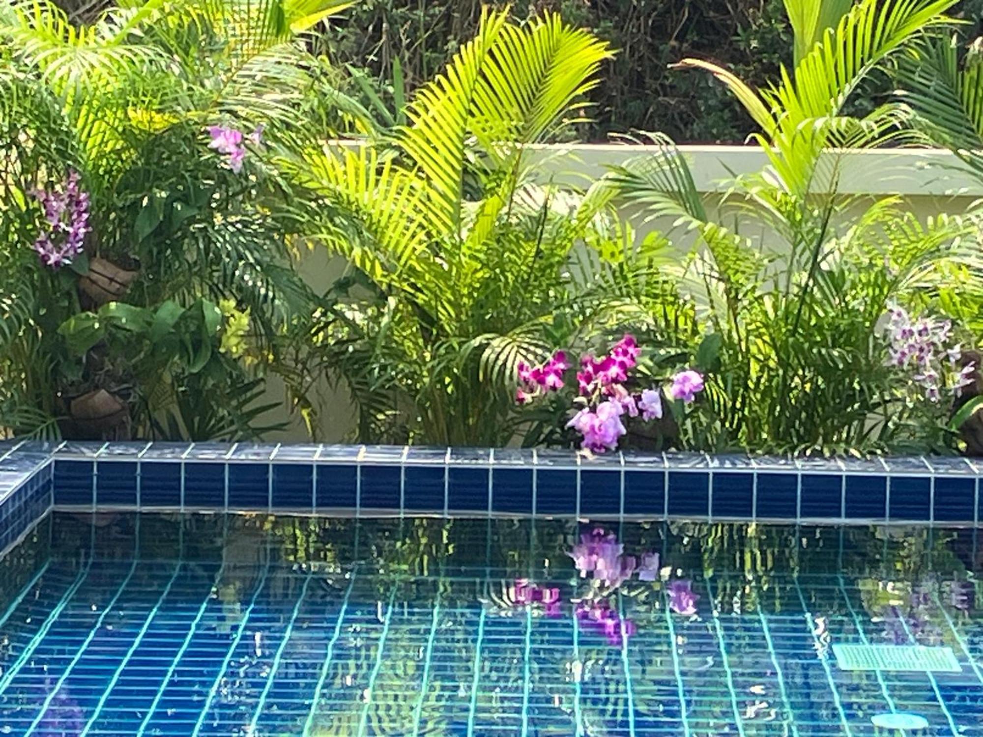 Kluai Mai Luxury Pool Villa, Panorama *