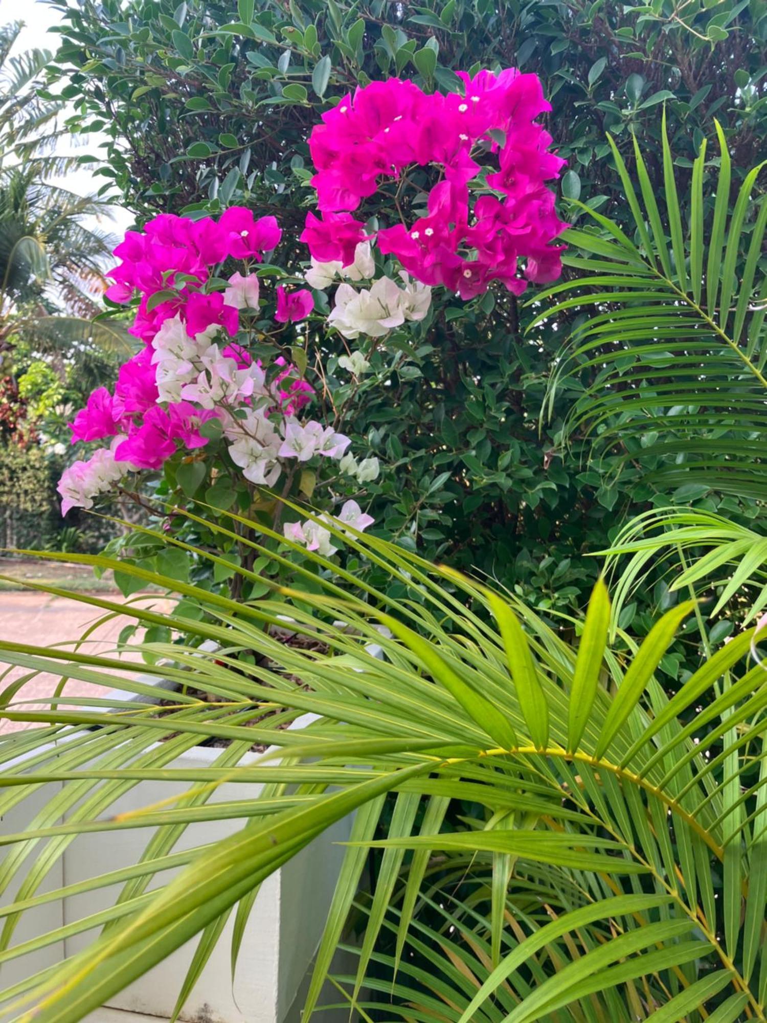 Kluai Mai Luxury Pool Villa, Panorama * Hua Hin